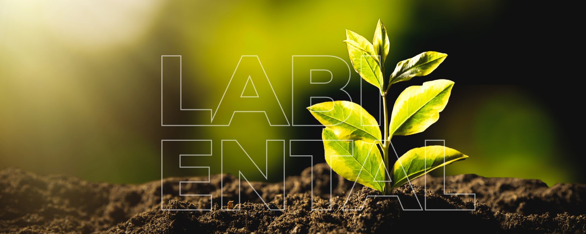Labiental Solucoes em Meio Ambiente Ltda